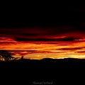 IMG 0466-5