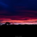IMG 0466-6
