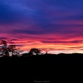 IMG 0468