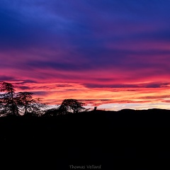 IMG 0468