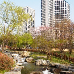 DSCN1192-2